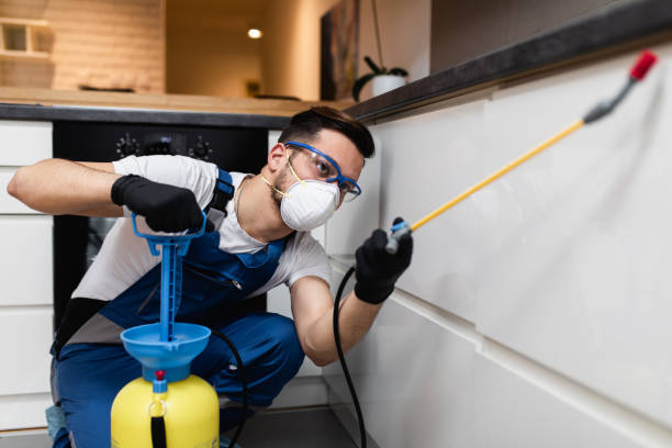 Best Termite Control Services  in Chowchilla, CA