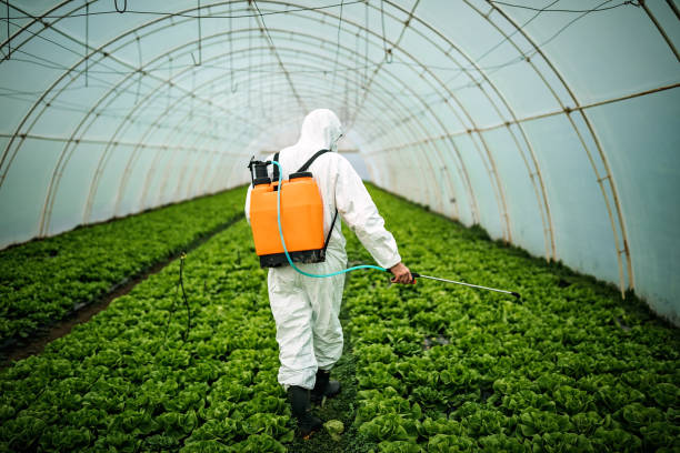 Best Ant Control Services  in Chowchilla, CA