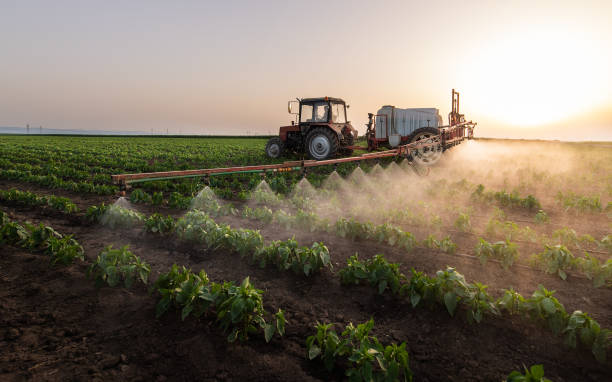 Best Pest Prevention Services  in Chowchilla, CA