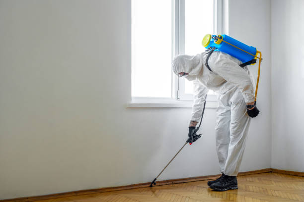 Professional Pest Control in Chowchilla, CA