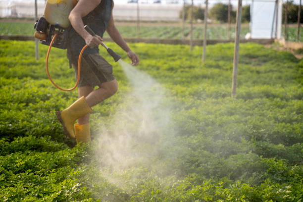 Best Affordable Pest Control Services  in Chowchilla, CA