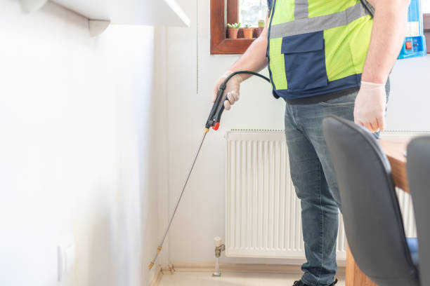 Best Wasp Removal Services  in Chowchilla, CA