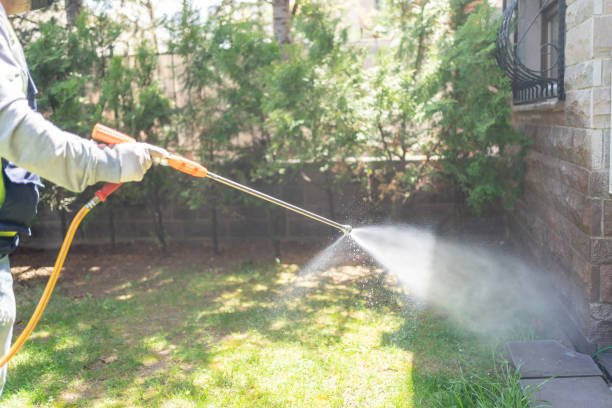 Best Flea Control Services  in Chowchilla, CA