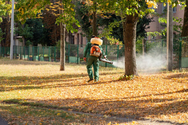 Best Pest Control Treatment  in Chowchilla, CA