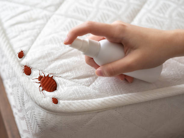 Best Pest Control Near Me  in Chowchilla, CA