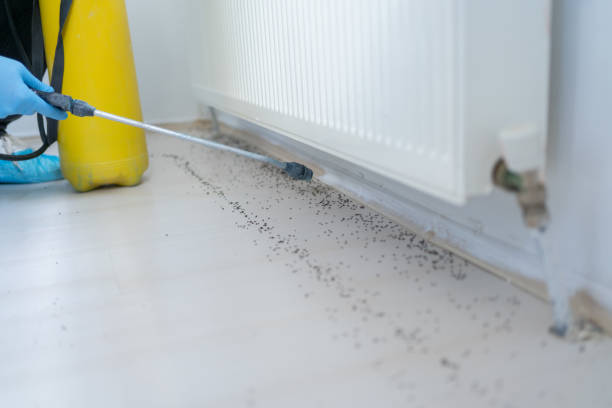 Best Rodent Control Near Me  in Chowchilla, CA