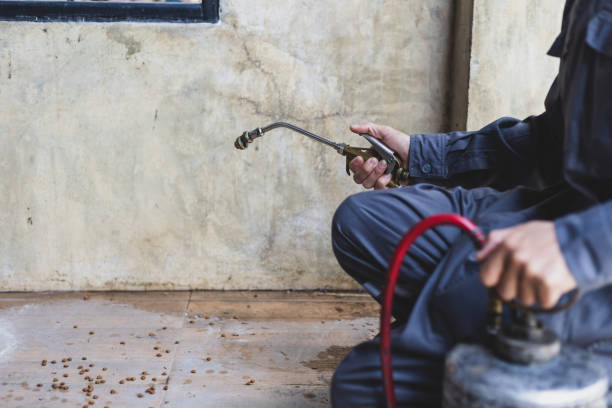 Best Emergency Pest Control  in Chowchilla, CA